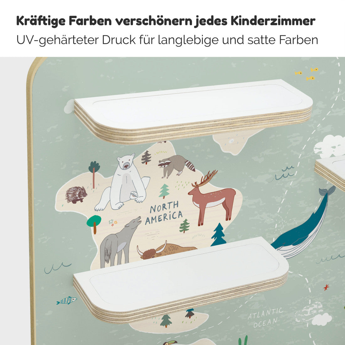Atlas -Kinder Regal geeignet für die Musikbox